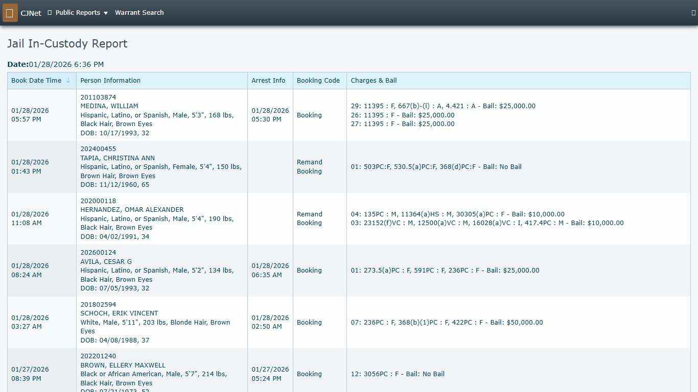 Jail In-Custody Report CJNet